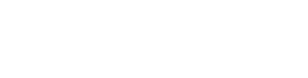 EU AI Act Logo